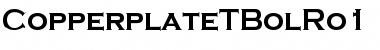Download CopperplateTBolRo1 Font Download CopperplateTBolRo1 Font