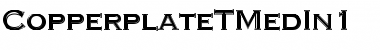 Download CopperplateTMedIn1 Font Download CopperplateTMedIn1 Font