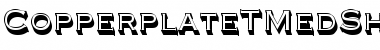 Download CopperplateTMedSh1 Font Download CopperplateTMedSh1 Font