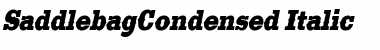 Download SaddlebagCondensed Font Download SaddlebagCondensed Font