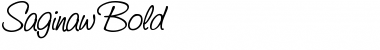 Download Saginaw Font Download Saginaw Font