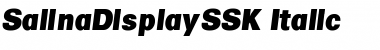 Download SalinaDisplaySSK Font Download SalinaDisplaySSK Font