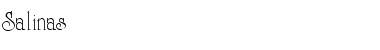Download Salinas Font Download Salinas Font