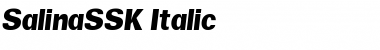 Download SalinaSSK Font Download SalinaSSK Font