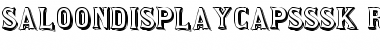 Download SaloonDisplayCapsSSK Font Download SaloonDisplayCapsSSK Font