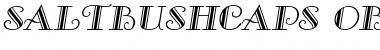 Download SaltbushCaps Font Download SaltbushCaps Font