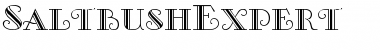 Download SaltbushExpert Font Download SaltbushExpert Font