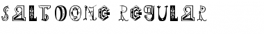 Download SaltoOne Font Download SaltoOne Font