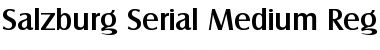 Download Salzburg-Serial-Medium Font Download Salzburg-Serial-Medium Font