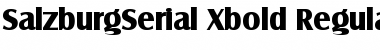 Download SalzburgSerial-Xbold Font Download SalzburgSerial-Xbold Font