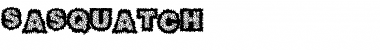 Download Sasquatch Font Download Sasquatch Font