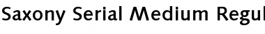 Download Saxony-Serial-Medium Font Download Saxony-Serial-Medium Font