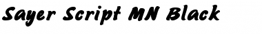 Download Sayer Script MN Font Download Sayer Script MN Font