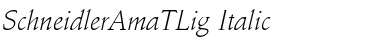 Download SchneidlerAmaTLig Font Download SchneidlerAmaTLig Font