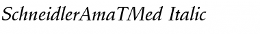 Download SchneidlerAmaTMed Font Download SchneidlerAmaTMed Font