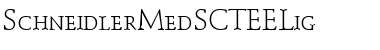 Download SchneidlerMedSCTEELig Font Download SchneidlerMedSCTEELig Font