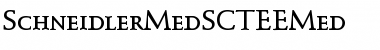 Download SchneidlerMedSCTEEMed Font Download SchneidlerMedSCTEEMed Font