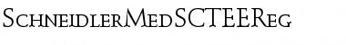 Download SchneidlerMedSCTEEReg Font Download SchneidlerMedSCTEEReg Font