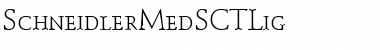 Download SchneidlerMedSCTLig Font Download SchneidlerMedSCTLig Font