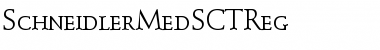 Download SchneidlerMedSCTReg Font Download SchneidlerMedSCTReg Font