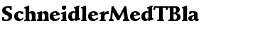 Download SchneidlerMedTBla Font Download SchneidlerMedTBla Font