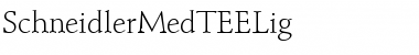 Download SchneidlerMedTEELig Font Download SchneidlerMedTEELig Font