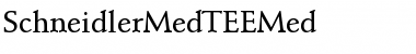 Download SchneidlerMedTEEMed Font Download SchneidlerMedTEEMed Font