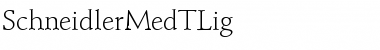 Download SchneidlerMedTLig Font Download SchneidlerMedTLig Font