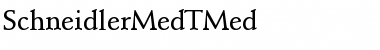 Download SchneidlerMedTMed Font Download SchneidlerMedTMed Font