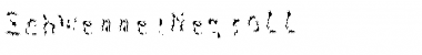 Download SchwennelNegroLL Font Download SchwennelNegroLL Font