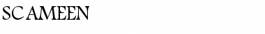 Download SC_AMEEN Font Download SC_AMEEN Font