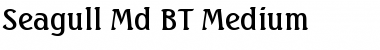 Download Seagull Md BT Font Download Seagull Md BT Font