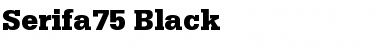 Download Serifa75-Black Font Download Serifa75-Black Font
