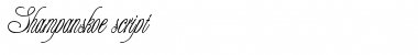 Download Shampanskoe script Font Download Shampanskoe script Font