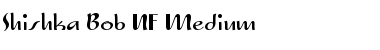 Download Shishka Bob NF Font Download Shishka Bob NF Font
