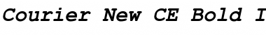 Download Courier New CE Font Download Courier New CE Font