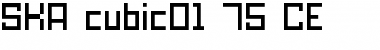 Download SKA_cubic01_75_CE Font Download SKA_cubic01_75_CE Font