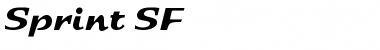 Download Sprint SF Font Download Sprint SF Font