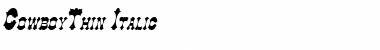 Download CowboyThin Font Download CowboyThin Font