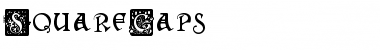 Download SquareCaps Font Download SquareCaps Font