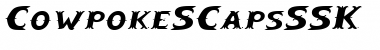 Download CowpokeSCapsSSK Font Download CowpokeSCapsSSK Font