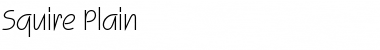 Download Squire Font Download Squire Font