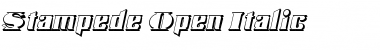 Download Stampede Open Italic Font Download Stampede Open Italic Font