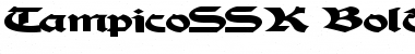 TampicoSSK Bold Font