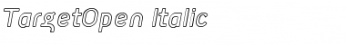 Download TargetOpen Italic Font Download TargetOpen Italic Font