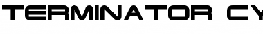 Download Terminator Cyr 4 Font Download Terminator Cyr 4 Font