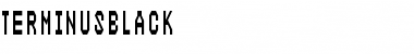 Download TerminusBlack Font Download TerminusBlack Font