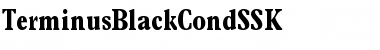 Download TerminusBlackCondSSK Font Download TerminusBlackCondSSK Font