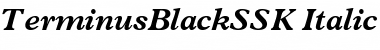 Download TerminusBlackSSK Font Download TerminusBlackSSK Font