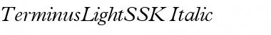 Download TerminusLightSSK Font Download TerminusLightSSK Font